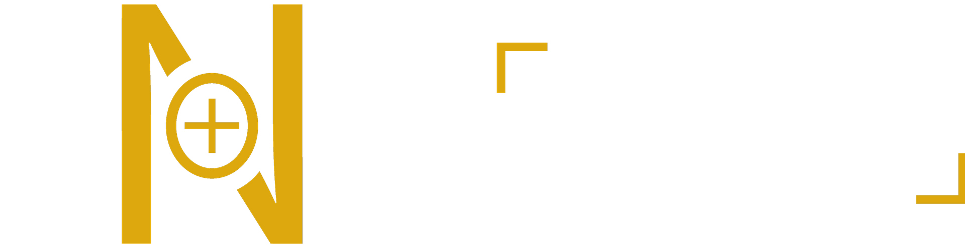 PNA International Consult Logo